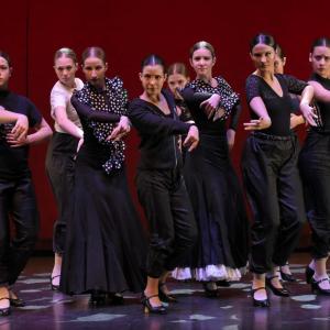 Fotografía de Talleres Baile Flamenco (galería 2) - Conservatorio de Danza